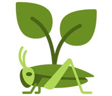 Illustration of a cricket and a leaf