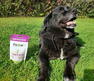 Happy dog after having tried Petto Smart Nutrition dog treats
